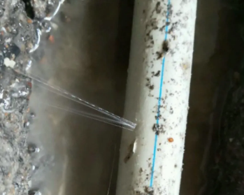 滴道卫生间测漏水多少钱