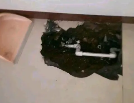 滴道卫生间测漏水多少钱