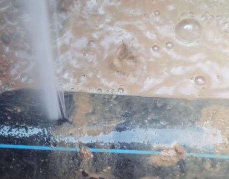 滴道卫生间防水哪家好